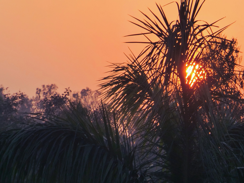 india sunset